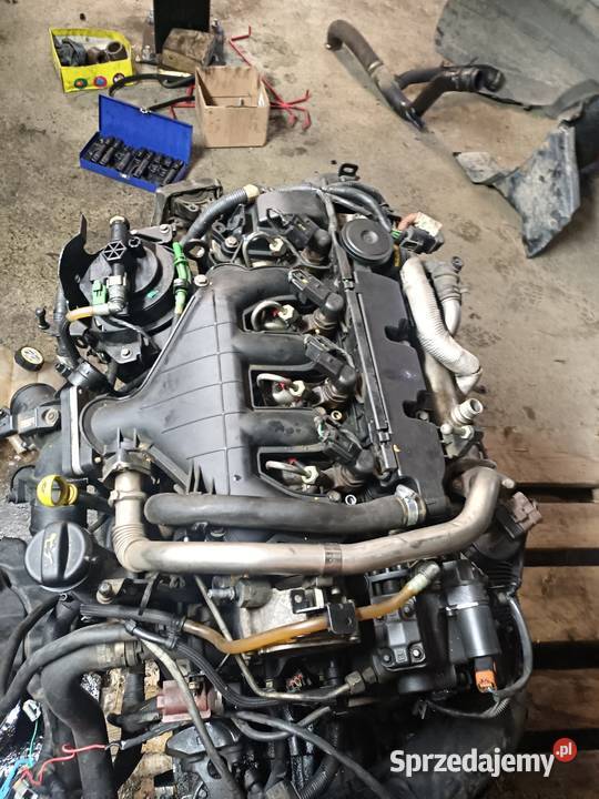 Ford focusC na części Jaworzno sprzedam