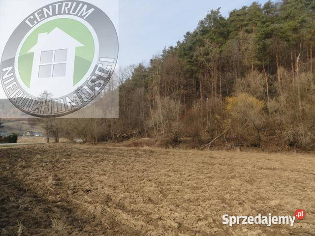 Działka 2566m2 RoztokaBrzeziny 37m Roztoka-Brzeziny