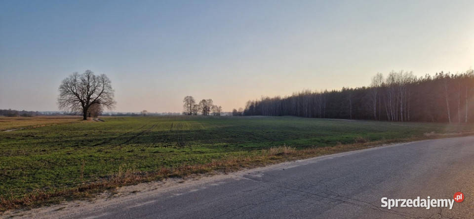Sprzedam działkę budowlaną Stara Wieś gm Rząśnik