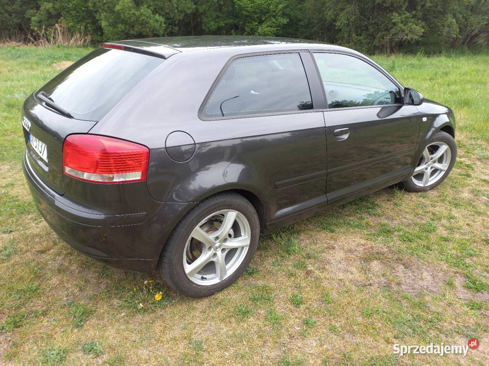 Audi a3 8p 16 mpi opolskie