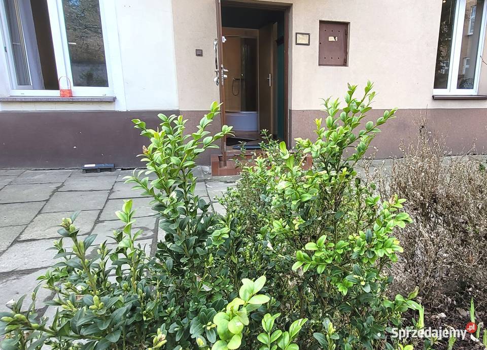 3 w 1 Stare Miasto 2 mieszkanie pokojowe Stefana Kraków