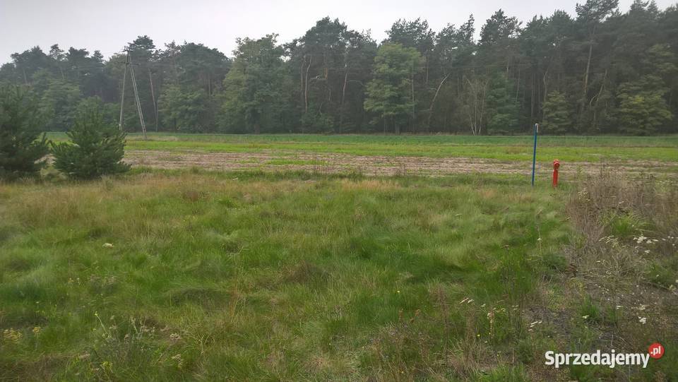 Dymaczewo Nowe Działka Nieruchomości wielkopolskie Mosina