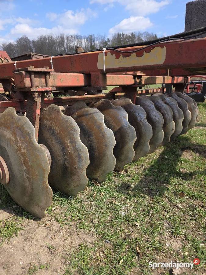 Talerzówka brix 28m Brony