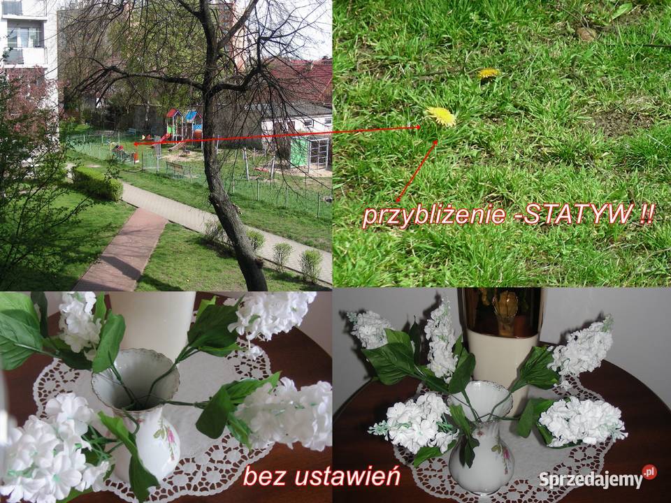 Aparat fotograficzny Nikon Coolpix S10 VR