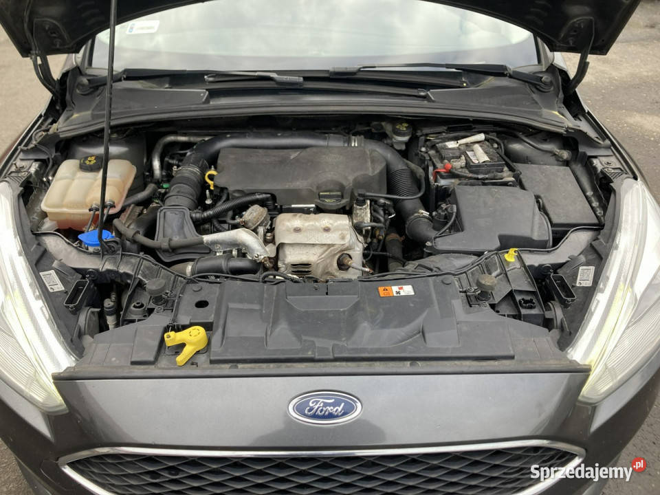 Ford Focus Focus 10 EcoBoost Klima Salon 2015 125KM Syców
