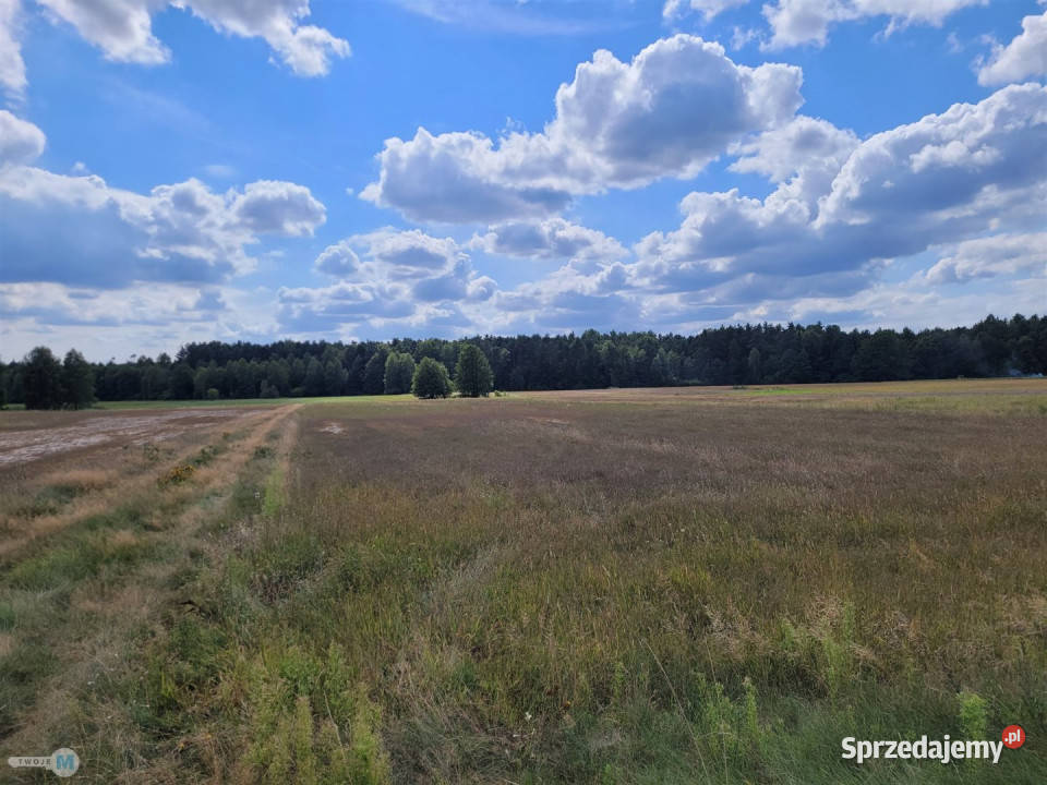 Sprzedaż gruntu 8000m2 Kluczewsko telefon Sprzedaż sprzedam