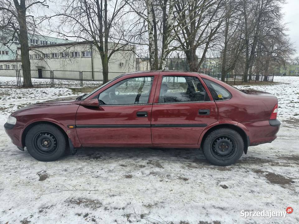 Zadbany opelek małopolskie Oświęcim