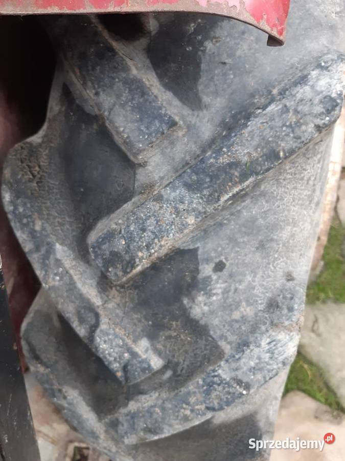 Ursus C330 małopolskie Konina