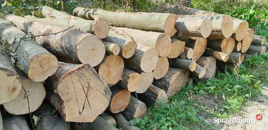 Buk opał transport HDS podkarpackie Wyręby