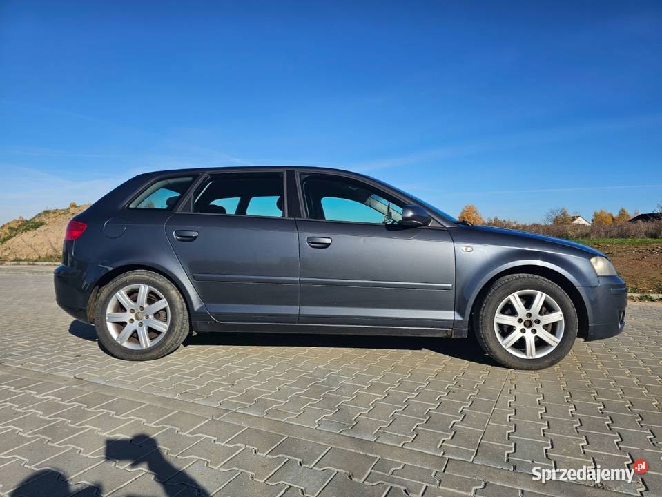 Audi A3 8P 20 tdi 2000cm3 dolnośląskie sprzedam