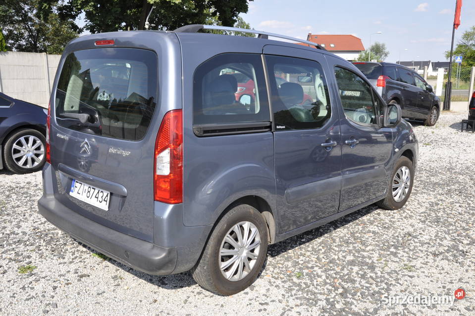 berlingo multi space rej Sulechów