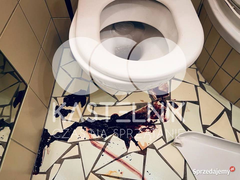Sprzątanie zgonach Wołów Kastelnik Dezynfekcja