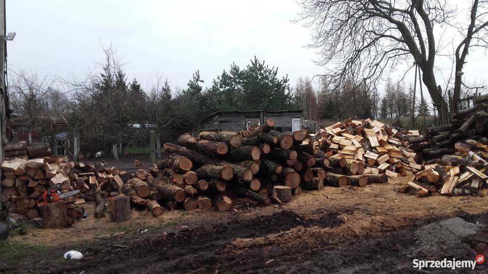 DREWNO KOMINKOWE I OPAŁOWE Pozostałe Lębork sprzedam