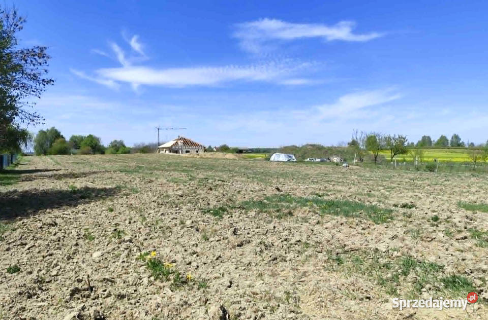 Na sprzedaż działka w Sadurkach 7999m2 Sadurki