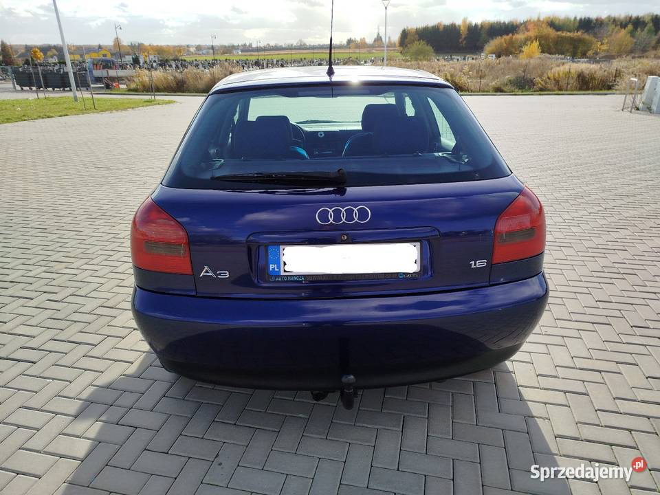 A3 8L 16 Benzyna 2000 5 DRZWI 265 zadbany 265000km Świdnik