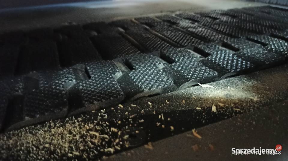 Raimann sprawny technicznie podłączony Lignum Kłodawa sprzedam