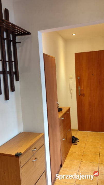 3 pokojowe do wynajęcia w bezpiecznej okolicy w internet