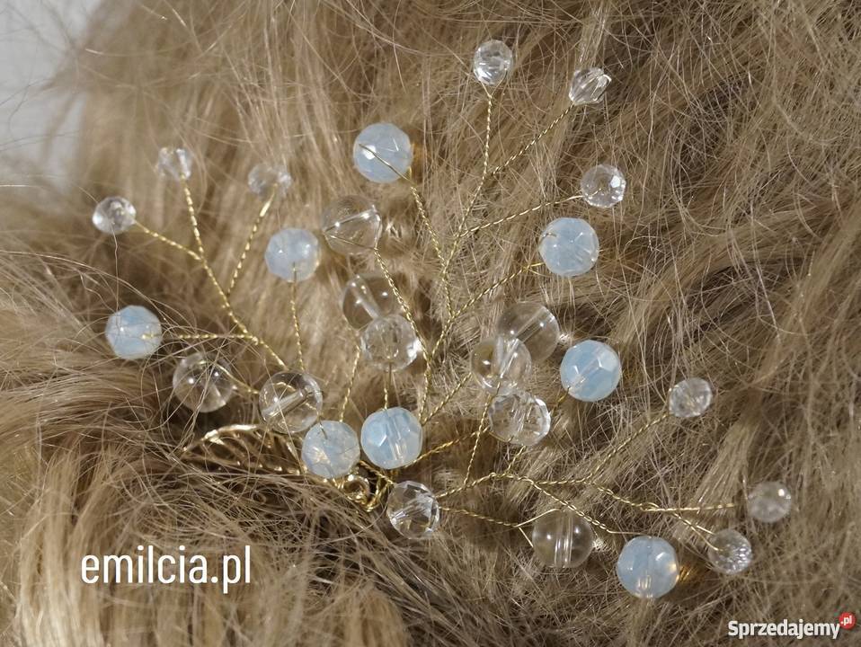 Kokówka Ze złotym listkiem Zielona Góra sprzedam