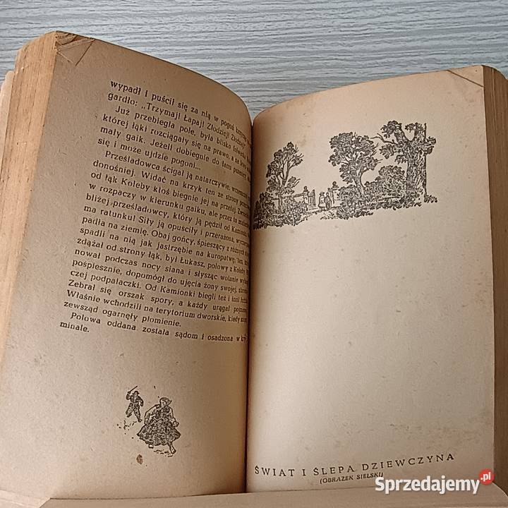 Książka Adolf Dygasiński Wybór Nowel Artykuły szkolne Szczecin sprzedam