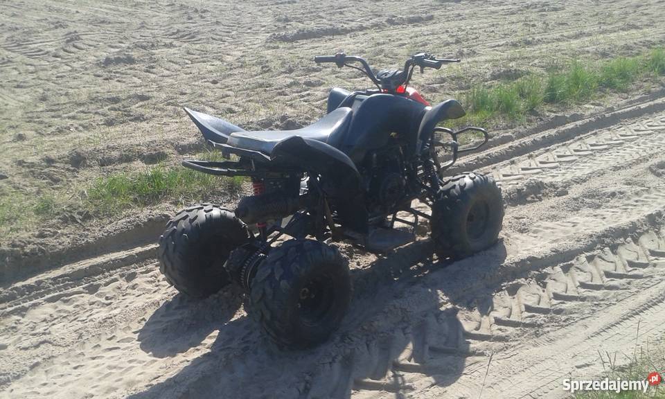 Quad ATV 150cc Alpinus Kingway Boshan 1000km Wołoskowola