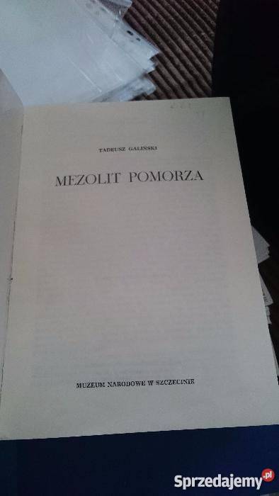 Mezolit Pomorza Galiński Tadeusz