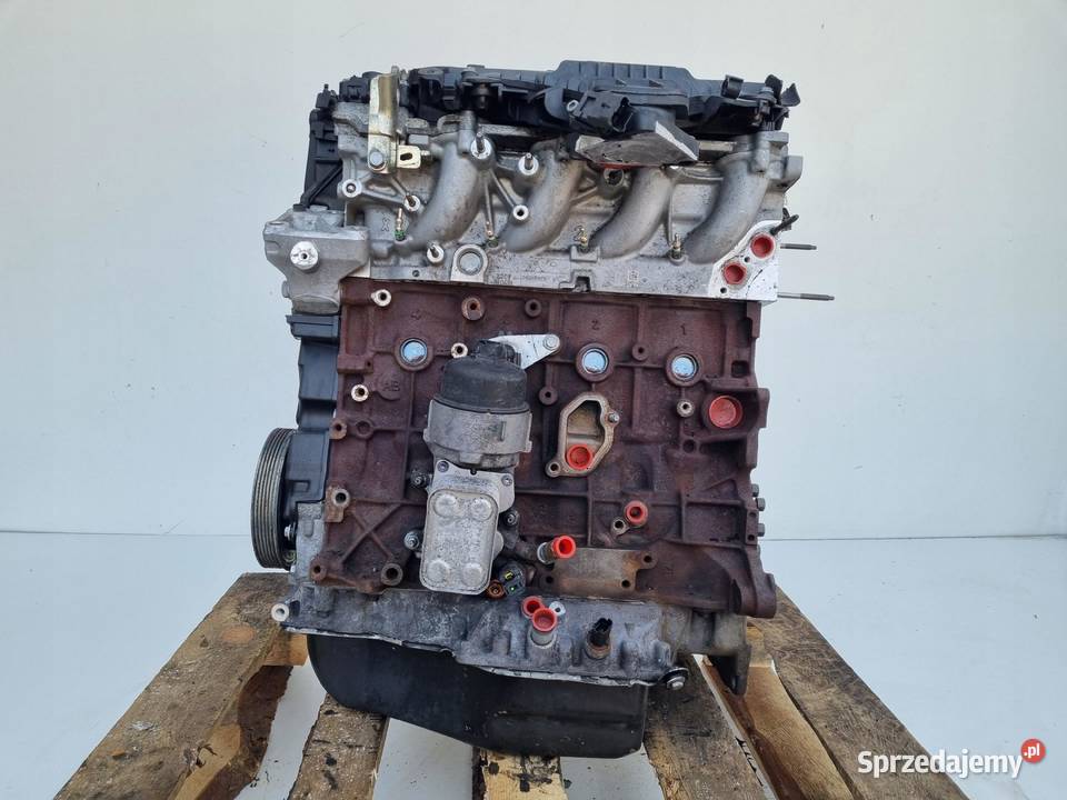 SILNIK Citroen C8 20 HDI 163 ładnie pracuje RHH Rudka
