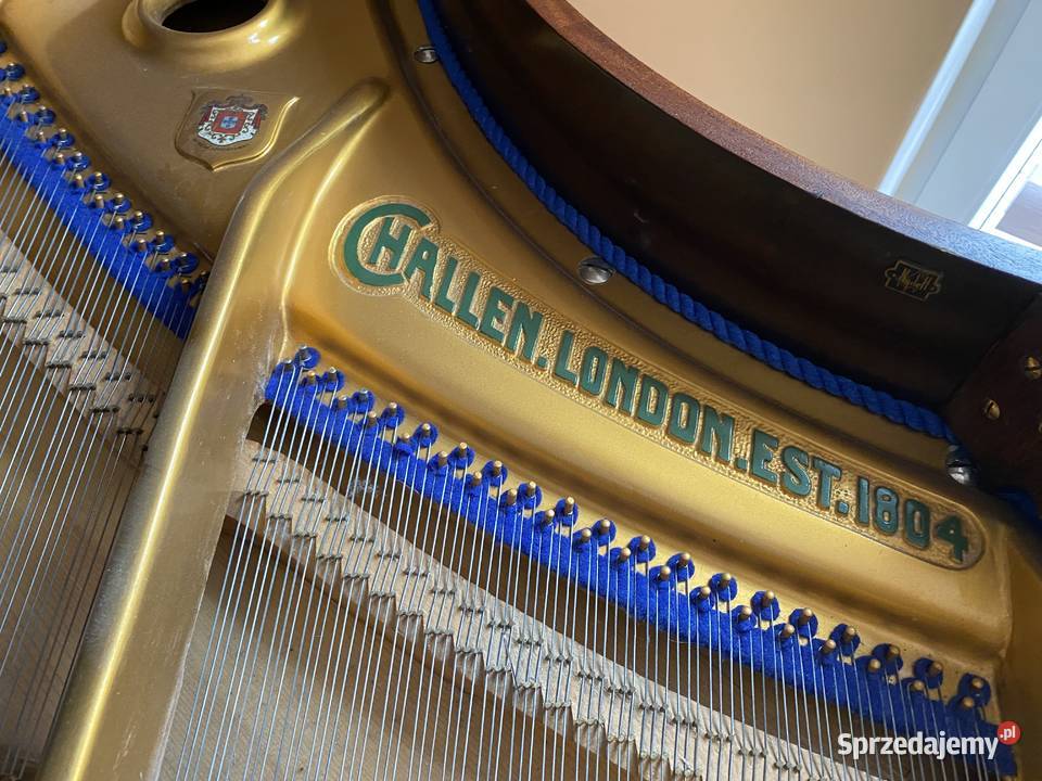 Fortepian Nowy Dwór Mazowiecki