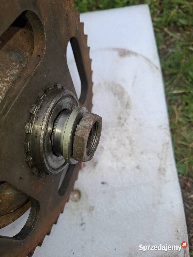 Jawa 175 zabieraki tylnego koła 100 Włoszczowa