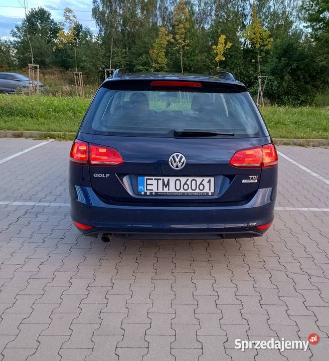 Volkswagen Golf VII 16 TDI 2015 ABS Stare Chrusty