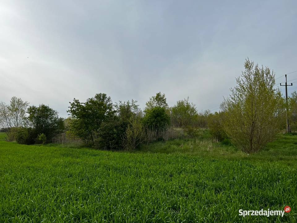 Działka drodze asfaltowej rolna Kolsko