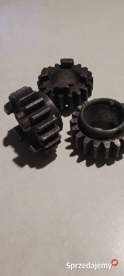 Wsk 175 koło 19z kujawsko-pomorskie Rypin