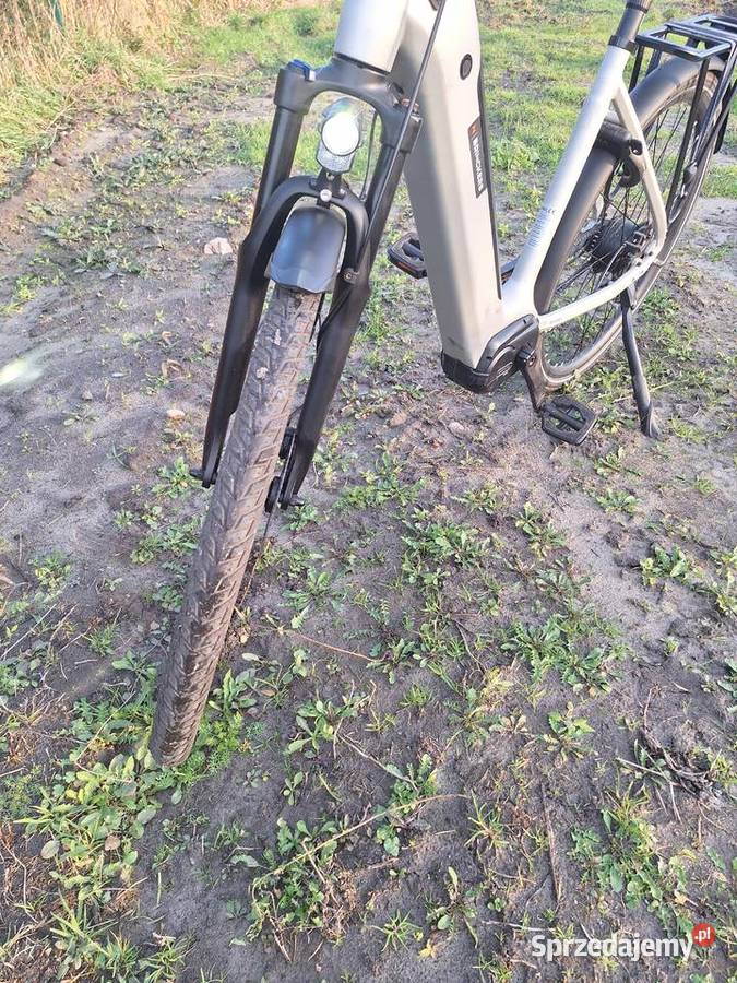 Rower elektryczny zasięg 250 Samorządki