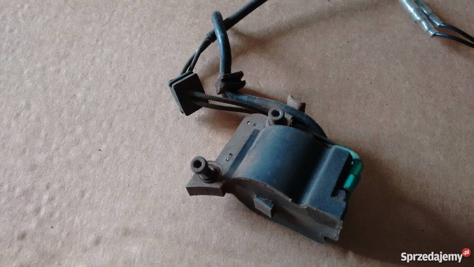 Kosa CMI 2438bt cewka 521