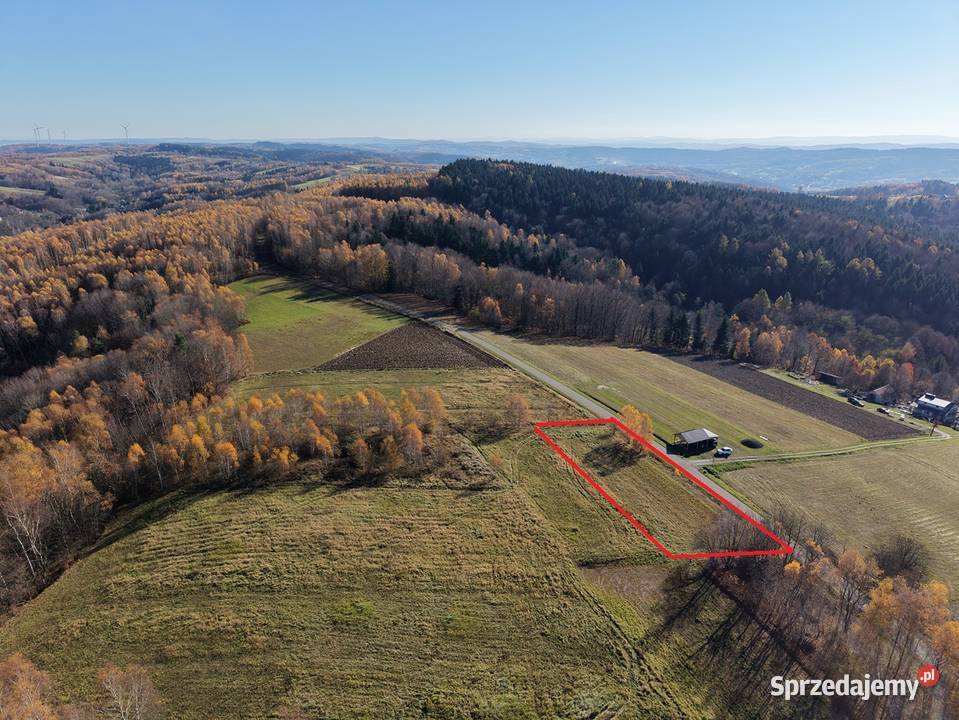 Widokowa działka Katy Luteckie Nieruchomości Lutcza sprzedam