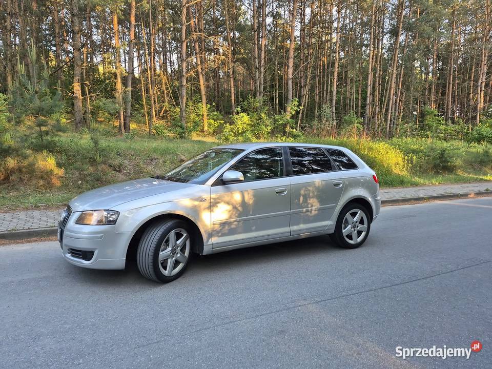 Audi A3 20 TDI 170 Quattro kujawsko-pomorskie Brodnica