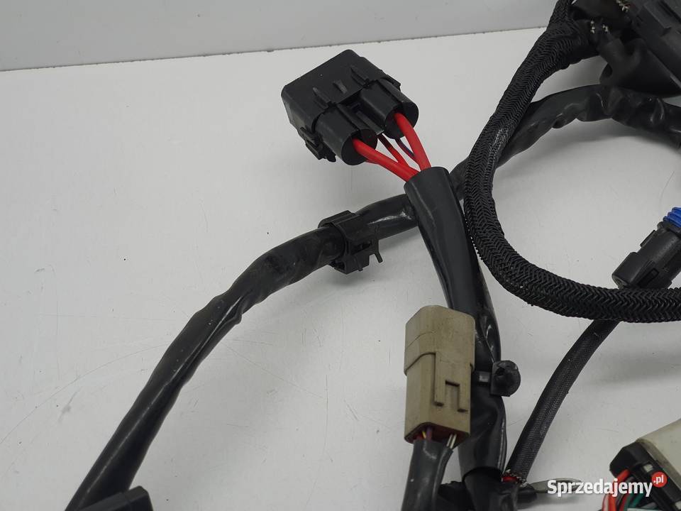 Wiazka Instalacja Wtyczka Harley Davidson Łódź