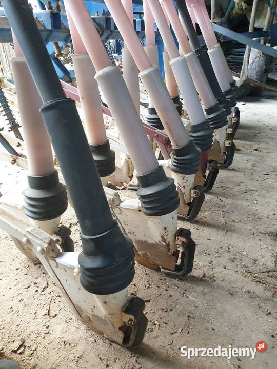 Siewnik poznaniak Sadzenie/siewniki Radawiec Duży