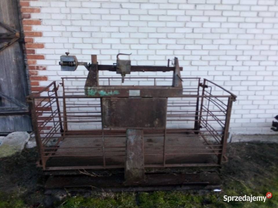 WAGA DO ŻYWCA SPRZEDAM Tarnogród