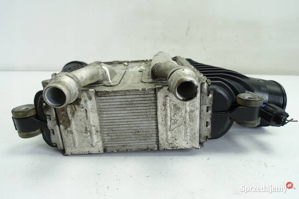 Jaguar XE 20 D CHŁODNICA INTERCOOLERA Chłodnice powietrza (intercoolery) Rudka
