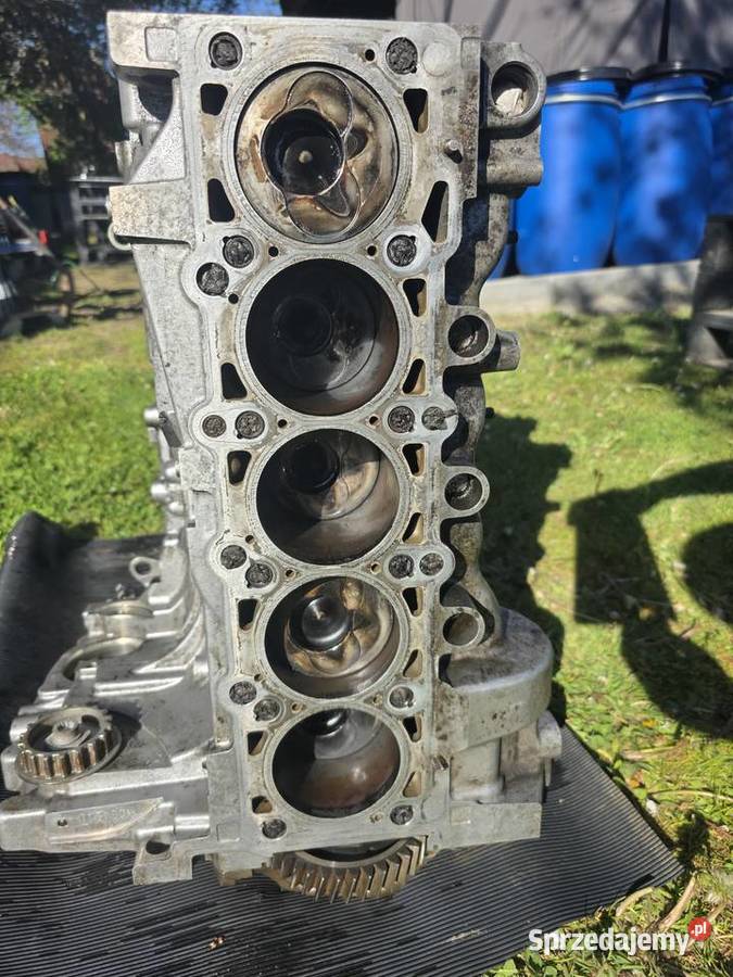 Blok Silnika Vw T5 25 TDI BNZ 070 103 021L Skawina