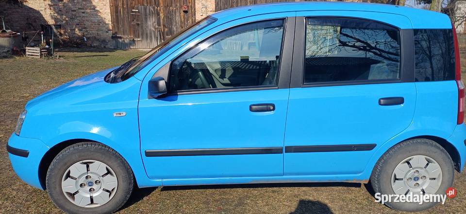 Fiat Panda 11 Benzyna z 2005 roku w stanie Myszczyn