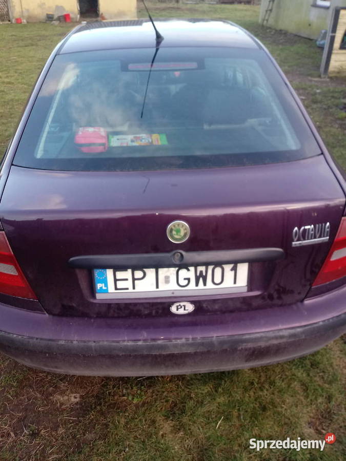 Skoda Octavia 2000 Ciechomin