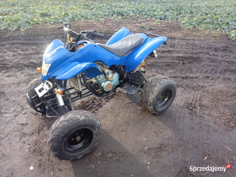 Bashan 250 Rok produkcji 2009 Minkowice