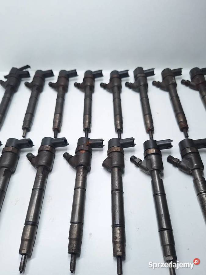Wtryskiwacze Wtrysk Bosch 0445110256 HYUNDAI URT Opole