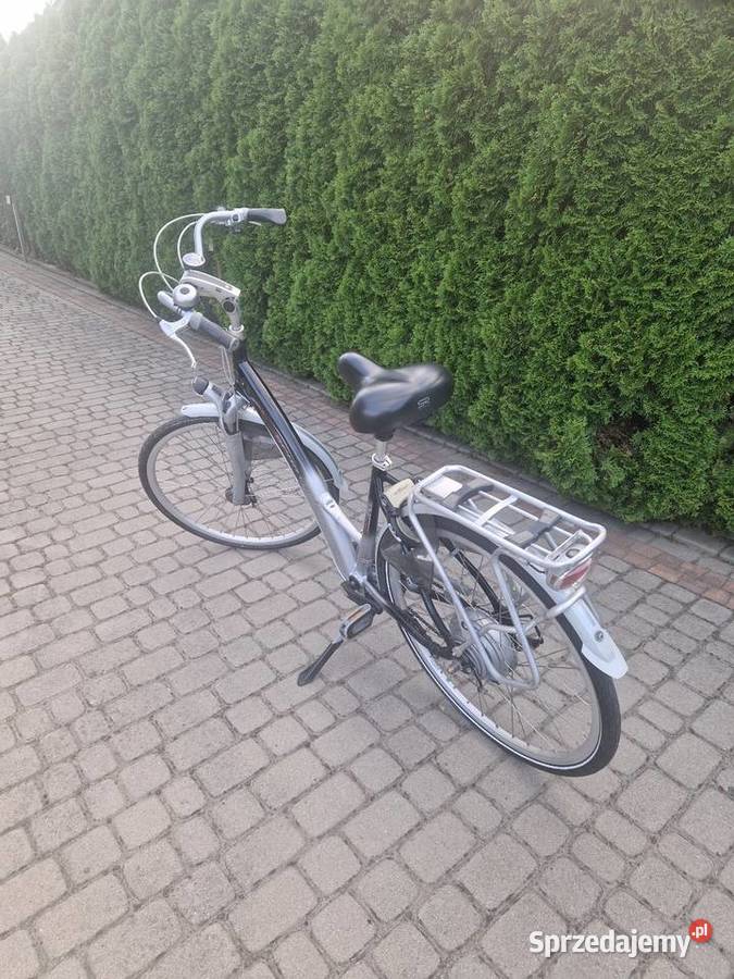 Sparta Ion L Sport i Wypoczynek Lubomia