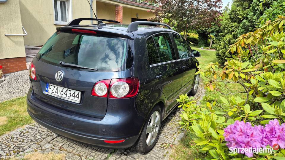 Golf Plus 19 TDI DPF United 2008 uszkodzony Golf Plus lubuskie Żary