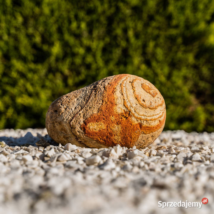 Otoczak Rainbow 4050mm 1 Micigózd sprzedam