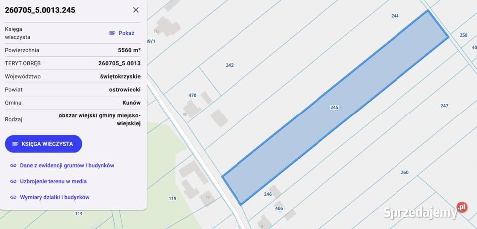 Działka Rolno Budowlana 9900 m2 Nietulisko Małe