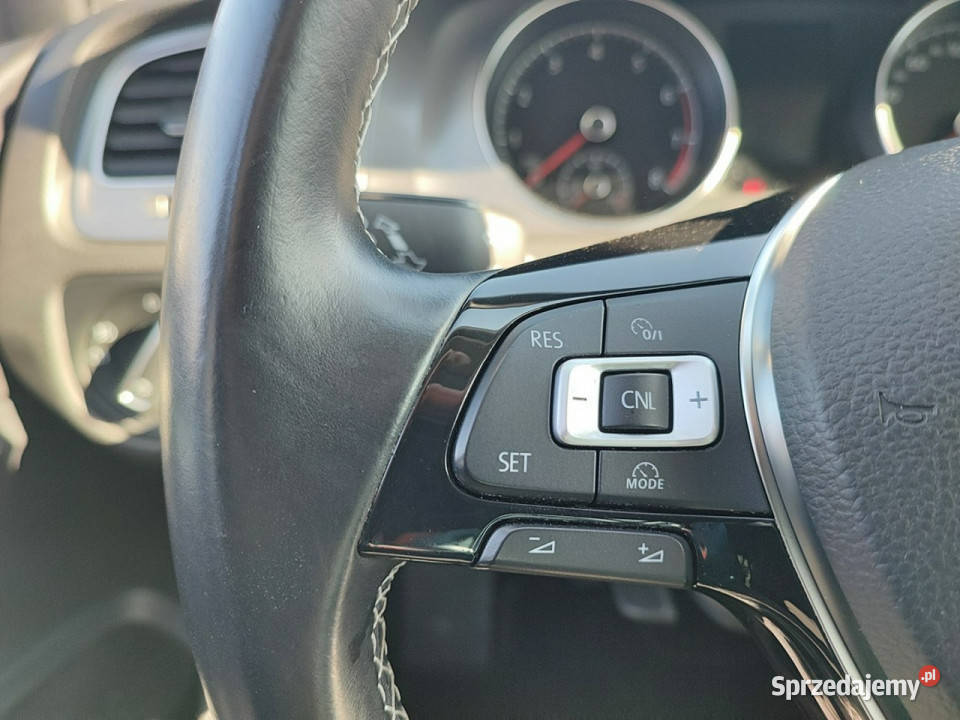 Volkswagen Golf Oryginalny lakier 100 pełny Ustroń sprzedam