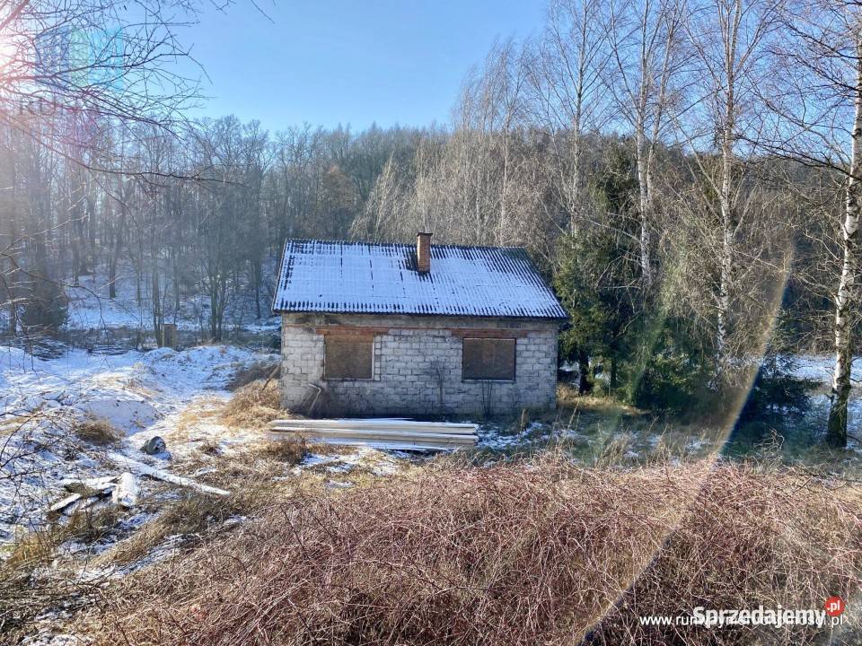 Dom 45m2 Okonin Sprzedaż